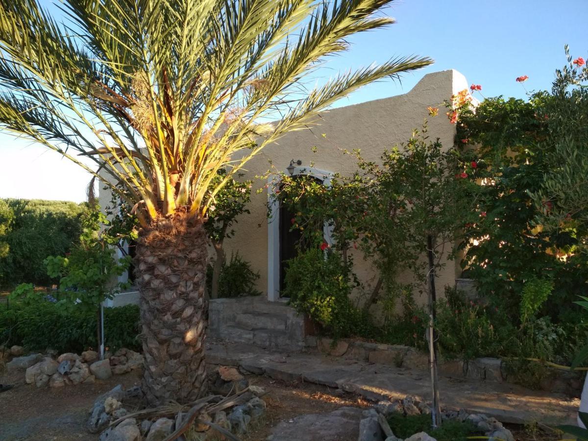 Porto Heli Apartments Palaikastro Exterior foto