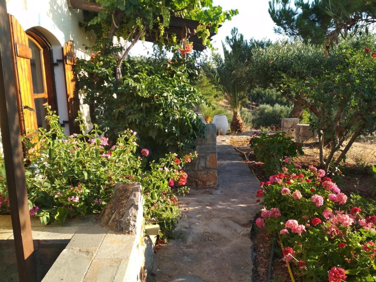 Porto Heli Apartments Palaikastro Exterior foto