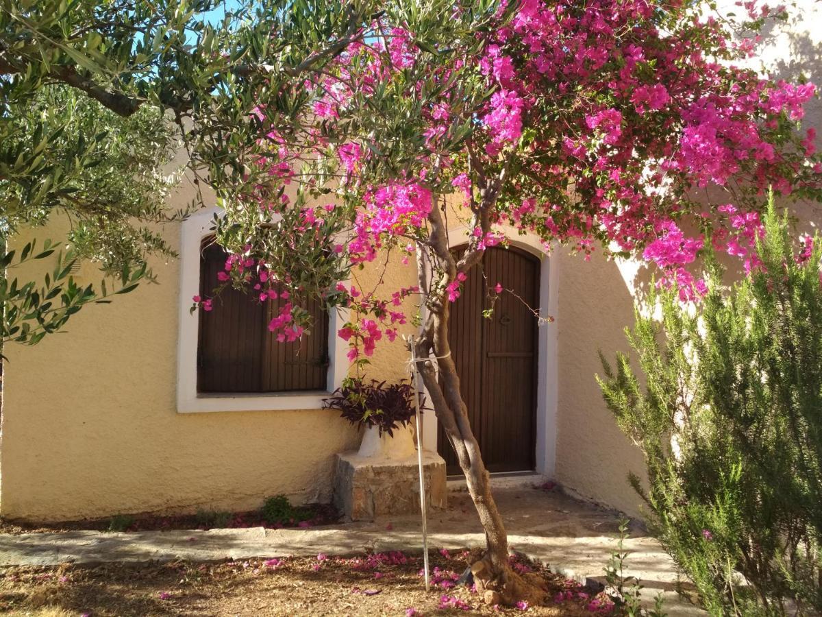 Porto Heli Apartments Palaikastro Exterior foto