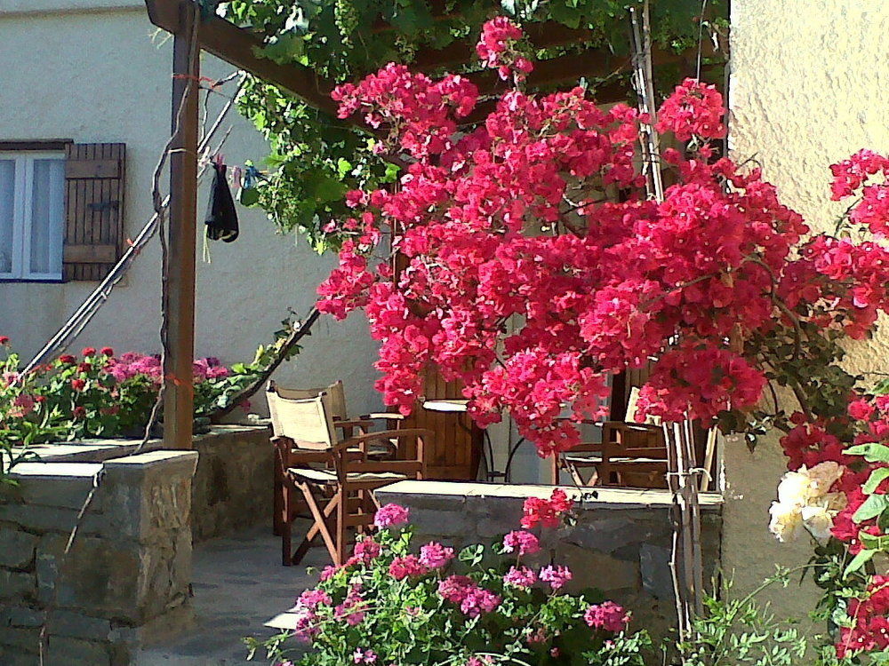 Porto Heli Apartments Palaikastro Exterior foto